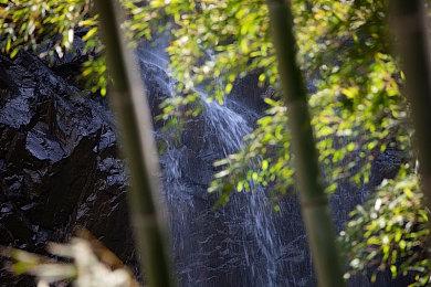 SE确认《魔咒之地》没有微交易 但有付费DLC